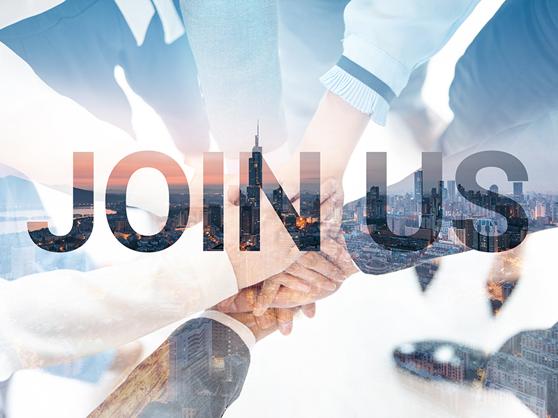 招聘(pin)會計(ji)（1人）